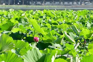 买提江：离开海港还是有点伤感，四年间和球队球迷都有深厚感情